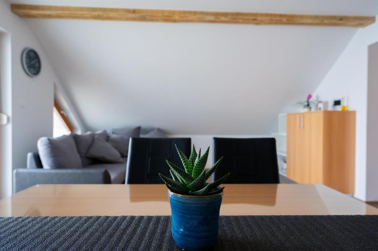 Pjagodic Apartments & Wellness Cerklje na Gorenjskem Bagian luar foto